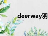 deerway羽毛球拍（deerway）