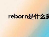 reborn是什么意思（born是什么意思）