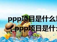 ppp项目是什么意思?3分钟带你深入了解下!（ppp项目是什么）