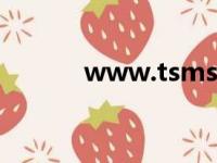 www.tsms.com（tsms 041）