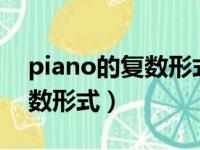 piano的复数形式是加s还是es（piano的复数形式）