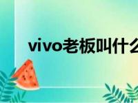 vivo老板叫什么名字（vivo老板是谁）