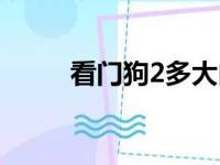 看门狗2多大内存（看门狗2多大）