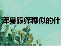 浑身跟筛糠似的什么意思（浑身筛糠的意思）