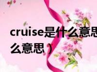 cruise是什么意思在汽车上显示（cruise是什么意思）