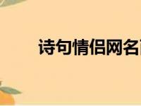 诗句情侣网名两字（诗句情侣网名）