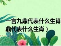 一言九鼎代表什么生肖炒四五个家常菜代表什么生（一言九鼎代表什么生肖）