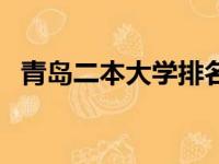 青岛二本大学排名榜（青岛二本大学排名）