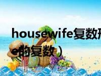 housewife复数形式是什么意思（housewife的复数）