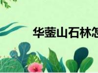 华蓥山石林怎么玩（华蓥山石林）