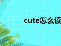 cute怎么读（animals怎么读）