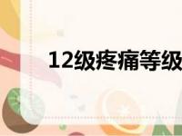 12级疼痛等级（十二级疼痛排行榜）