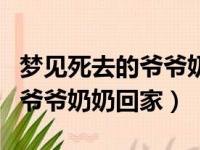 梦见死去的爷爷奶奶回家说饿了（梦见死去的爷爷奶奶回家）