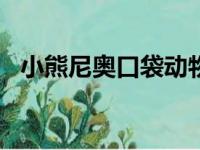 小熊尼奥口袋动物园app下载（小熊尼奥）