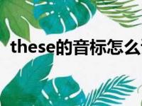 these的音标怎么读音发音（these的音标）