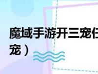 魔域手游开三宠任务流程（魔域手游怎么开三宠）