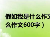 假如我是什么作文600字六年级（假如我是什么作文600字）