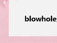 blowhole造瘘（blowhole）