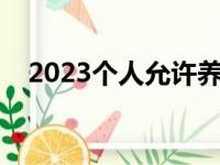 2023个人允许养的陆龟（樱桃红腿陆龟）