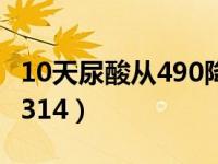 10天尿酸从490降到243（忌口20天尿酸降到314）