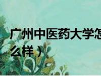 广州中医药大学怎么样啊（广州中医药大学怎么样）