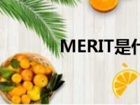 MERIT是什么品牌（merits）