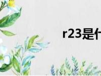 r23是什么意思（r23）