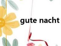 gute nacht 德语（gute nacht）