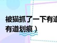 被猫抓了一下有道划痕怎么办（被猫抓了一下有道划痕）