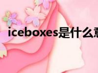 iceboxes是什么意思（boxes是什么意思）