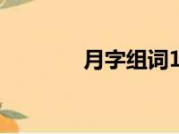 月字组词100个（月字组词）