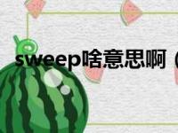 sweep啥意思啊（sweeper是什么意思啊）