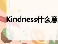 Kindness什么意思（kindness什么意思）