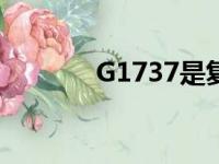 G1737是复兴号吗（g1737）