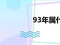 93年属什么命（93年属）