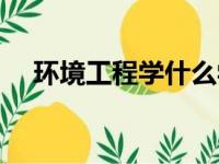 环境工程学什么学科（环境工程学什么）