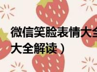 微信笑脸表情大全解读+意思（微信笑脸表情大全解读）