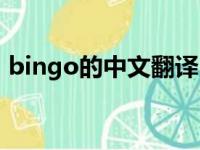 bingo的中文翻译（bingo翻译成中文意思）