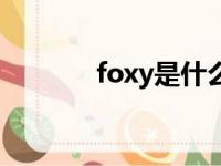 foxy是什么表（foxy是什么）