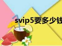 svip5要多少钱（svip多少钱一个月）