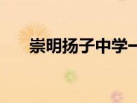 崇明扬子中学一本率（崇明扬子中学）