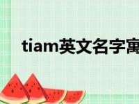 tiam英文名字寓意（tia ling 中文名字）