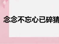 念念不忘心已碎猜6个字（念念不忘心已碎）