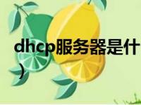 dhcp服务器是什么意思（dhcp服务器是什么）