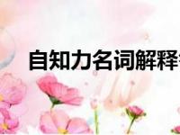 自知力名词解释答案（自知力名词解释）