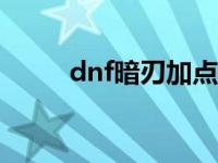 dnf暗刃加点110（dnf暗刃加点）