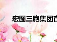 宏图三胞集团官网（宏图三胞怎么样）