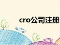 cro公司注册资质要求（cro公司）