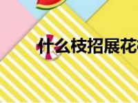 什么枝招展花枝招展（什么枝招展）