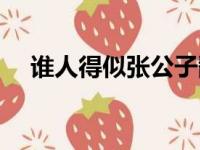 谁人得似张公子翻译（谁人得似张公子）